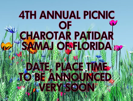 4th Annual Picnic 2012